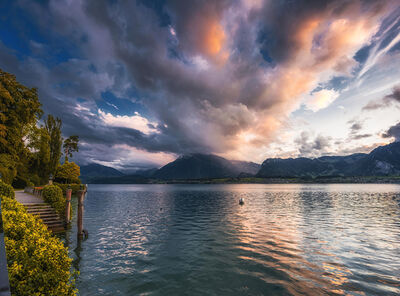 Suggested scene starters from audiences