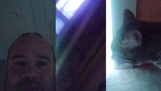 His cat gives life advice.