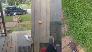 Nature Channel Highlights